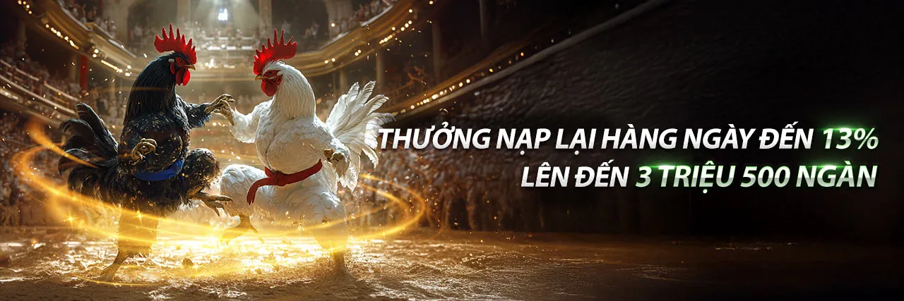 Đá Gà B52 Đổi Thưởng